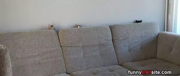 Couch Fort
