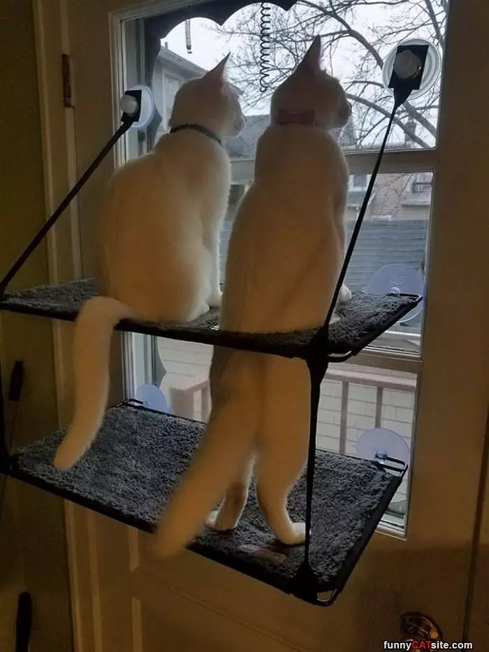 Watching The Outside