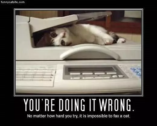 Cat Fax