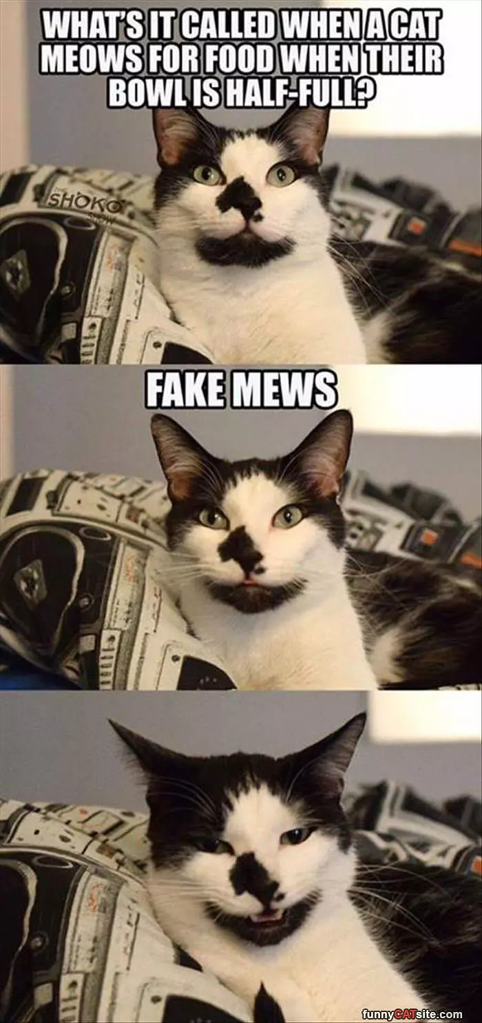 Fake Mews
