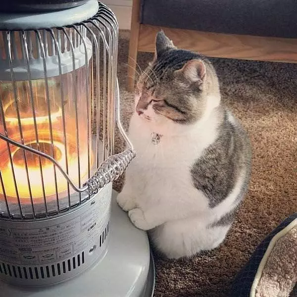 Mmmm This Is So Warm