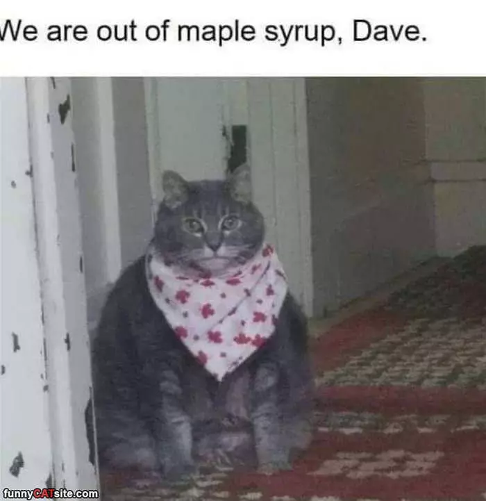 We Are Out Of Maple Syrup