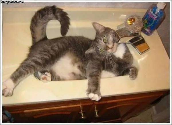 I Love The Sink