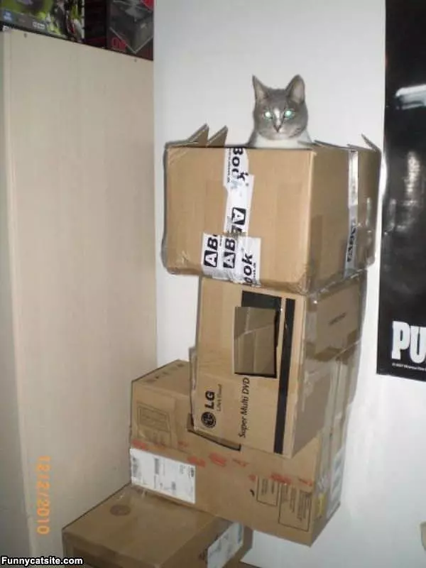 Cool Home Made Cat Tower