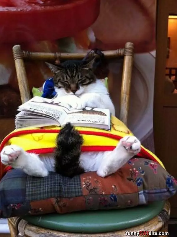 Comfrotable Reading Position