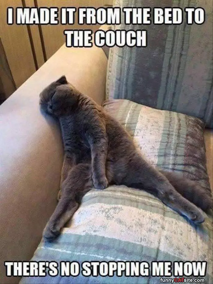 Made It From The Bed To The Couch