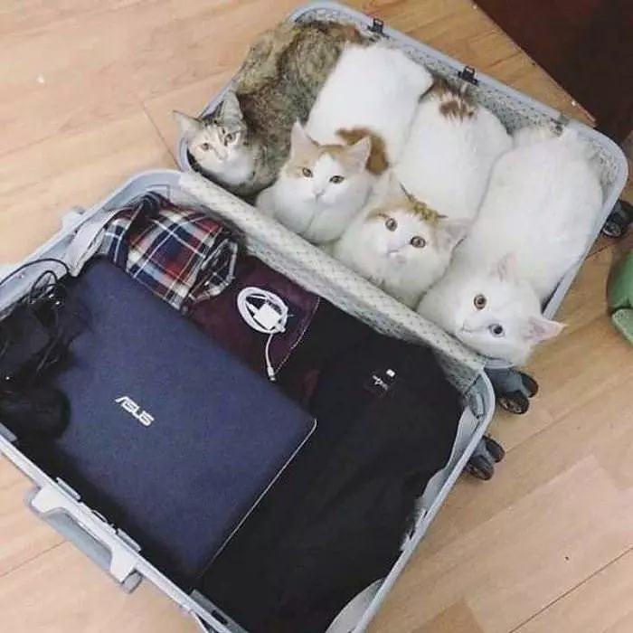 Take Us With You Please