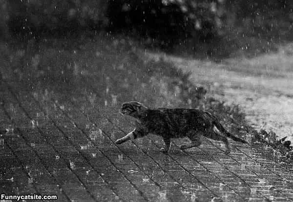 Running In The Rain