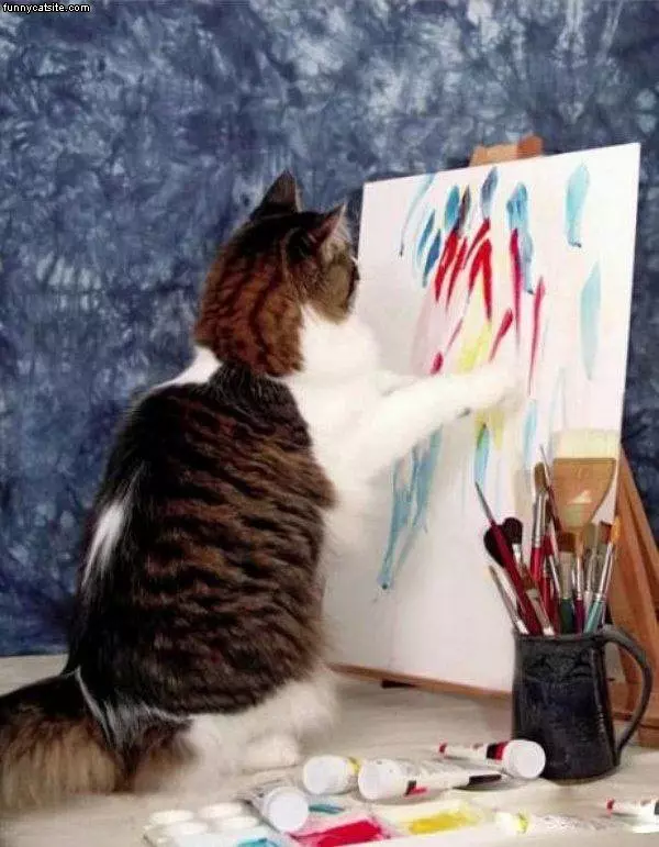 Painter Cat