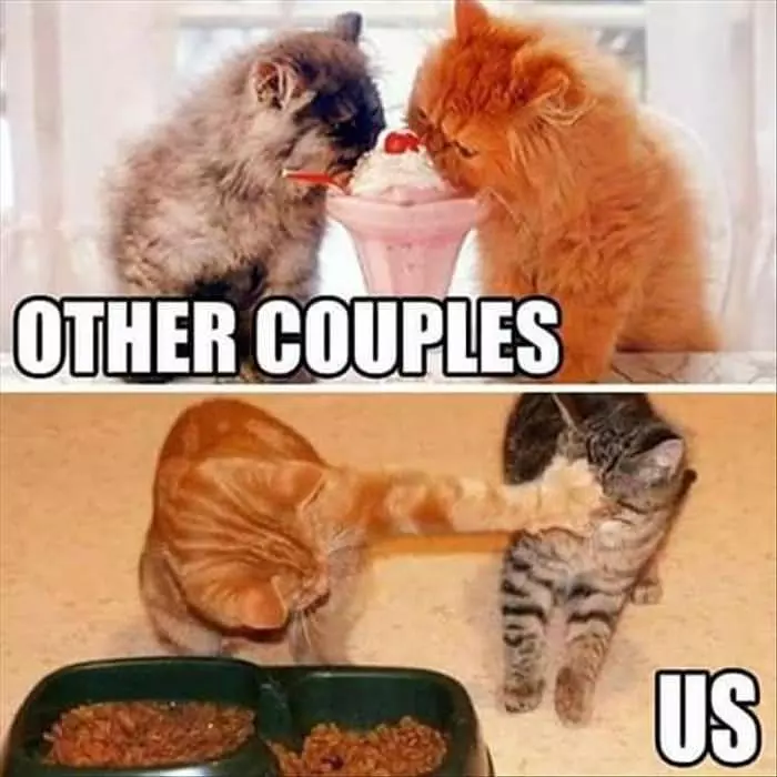 Other Couples And Us