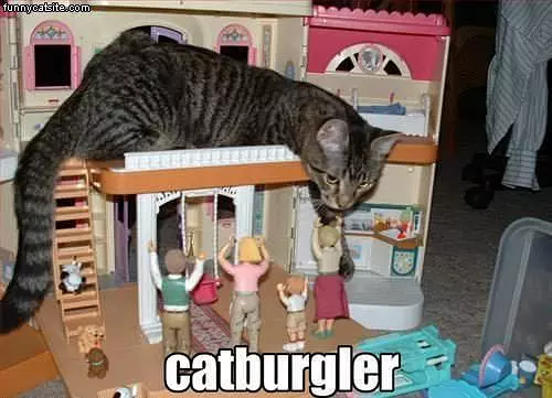Catburgler