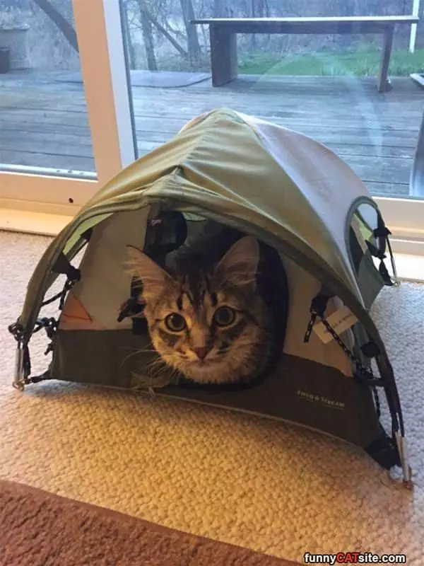 Small Tent