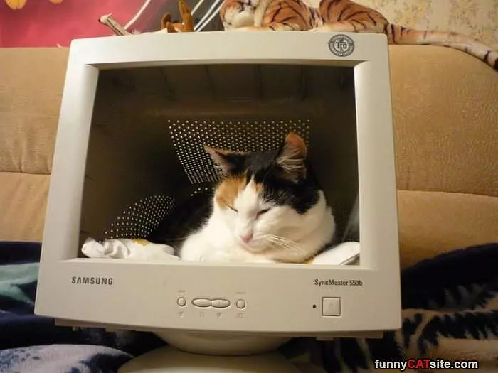This Is My Computer Now