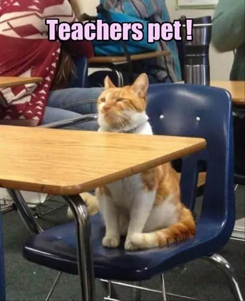 Being The Teachers Pet