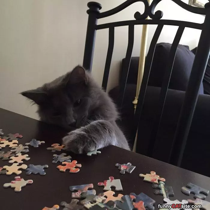 Doing A Puzzle
