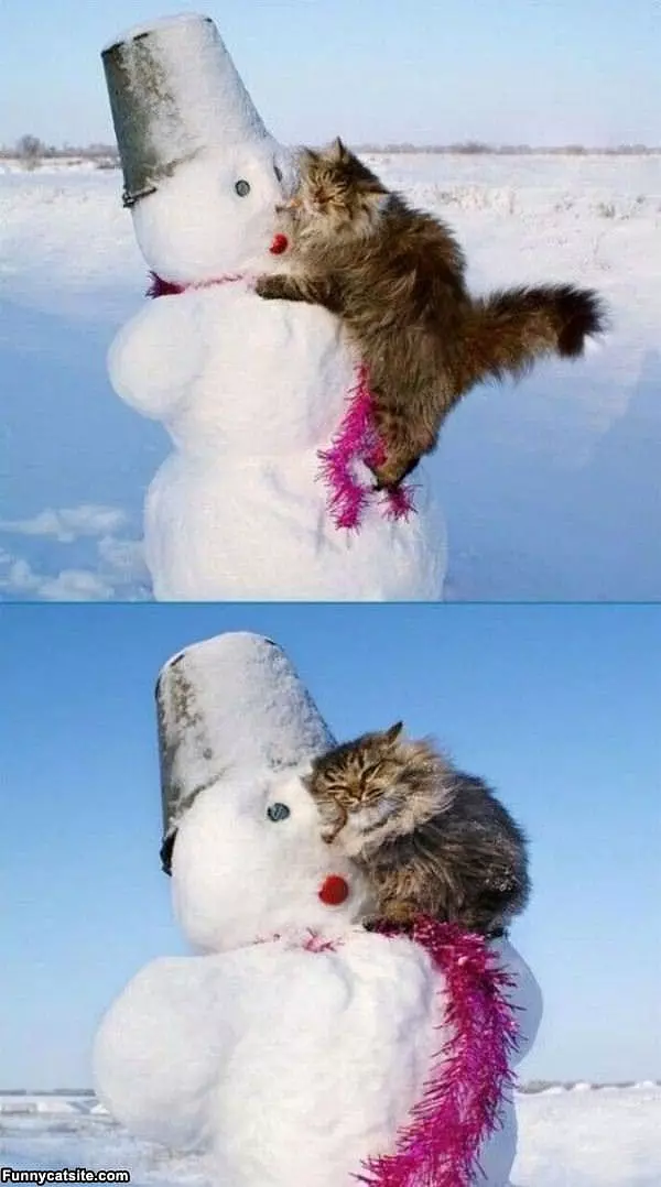 I Love This Snowman