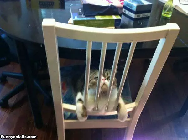 This Chair Is Jail