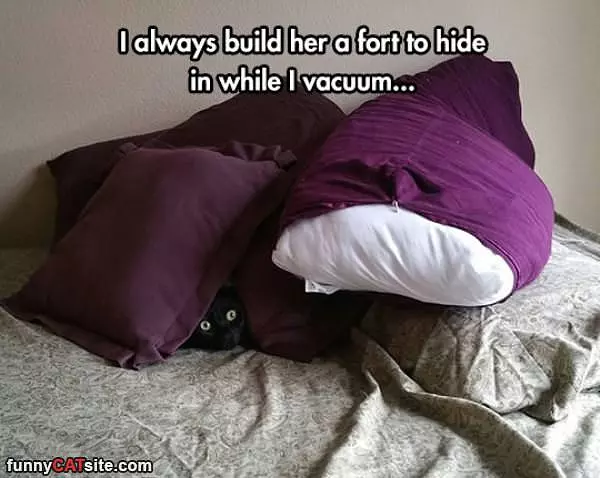 Hiding Fort