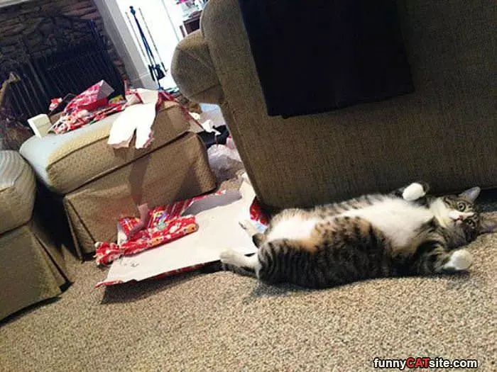Opened All The Presents