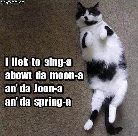 Sing A Cat