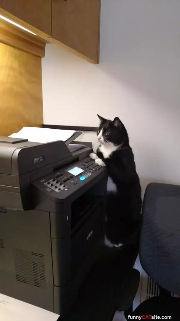 What Are You Printing