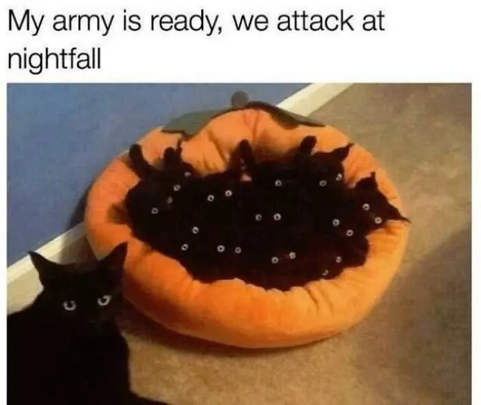 My Army Is Ready