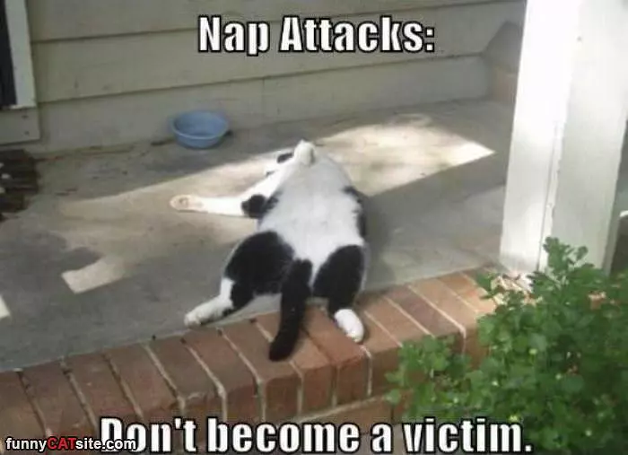 Nap Attacks