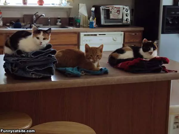 Laundry-day
