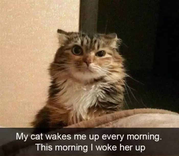 Woke Her Up Today
