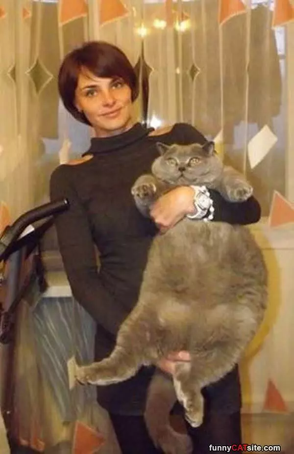 That Is A Large Cat