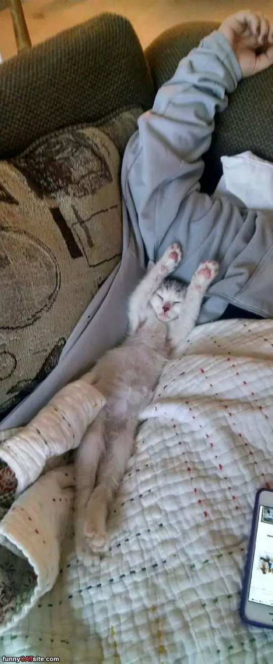 Allll Stretched Out
