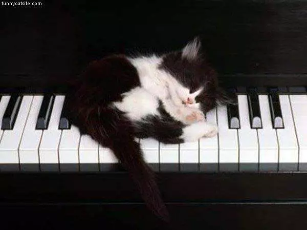 Piano Sleeper