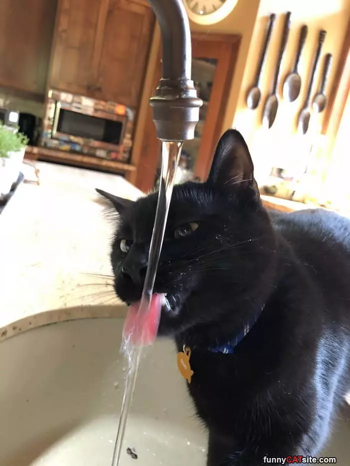 Getting A Sip