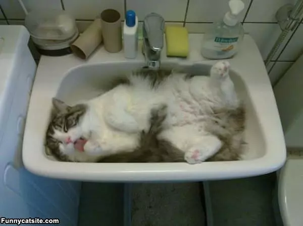 Sink Time
