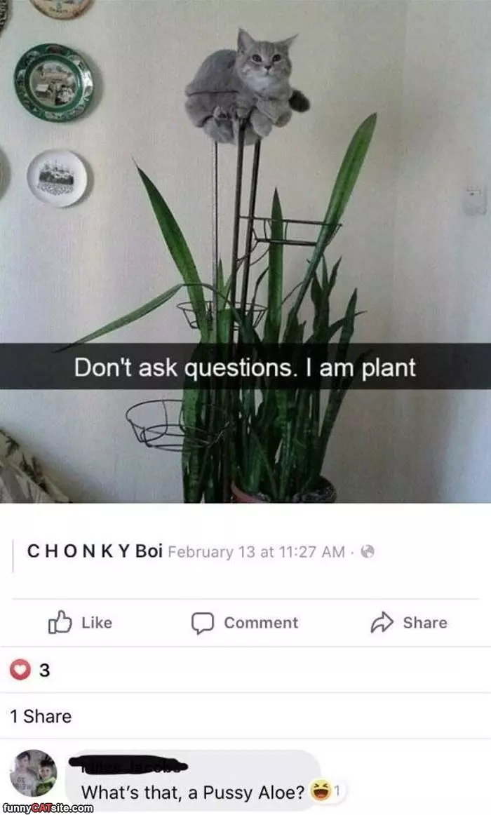 I Am A Plant