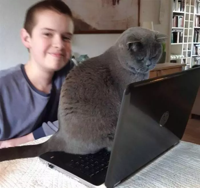 Sitting On The Laptop