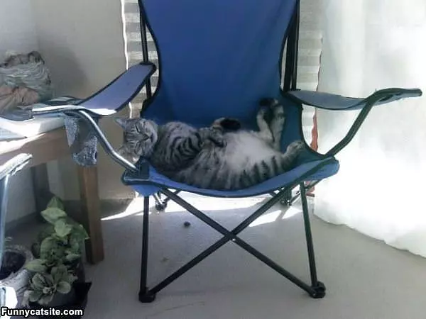 Relaxing In My Chair