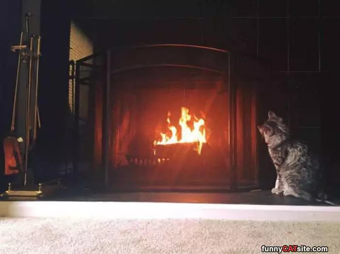 Just Watching The Fire