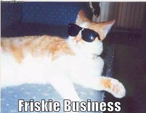 Friskie Business