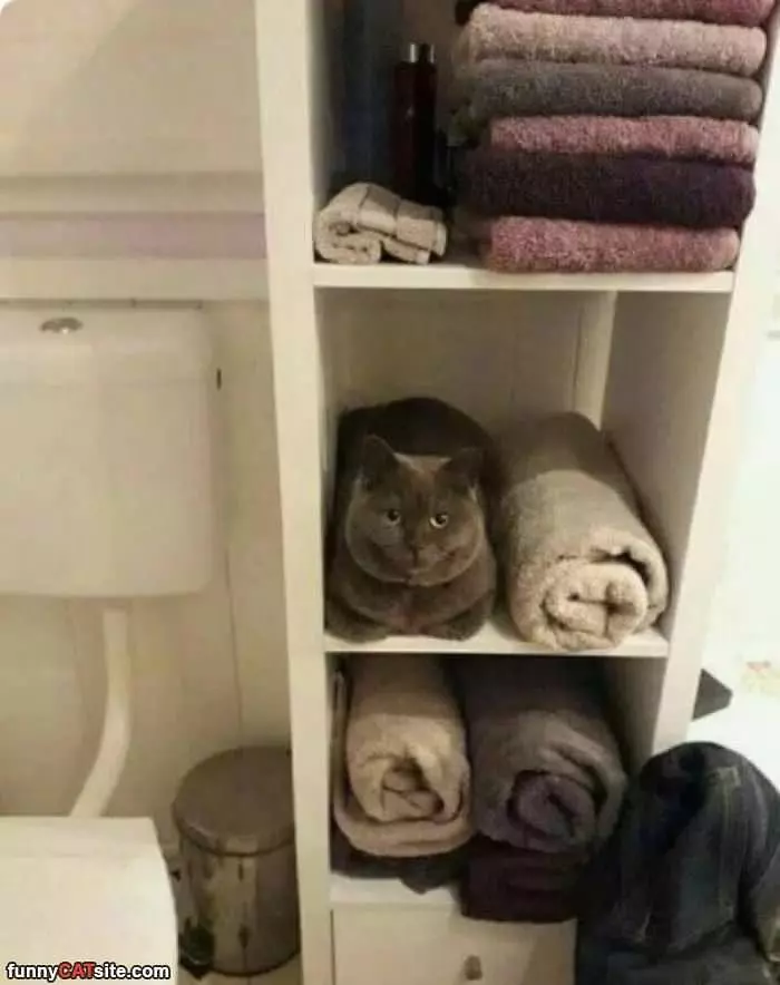 Just A Towel