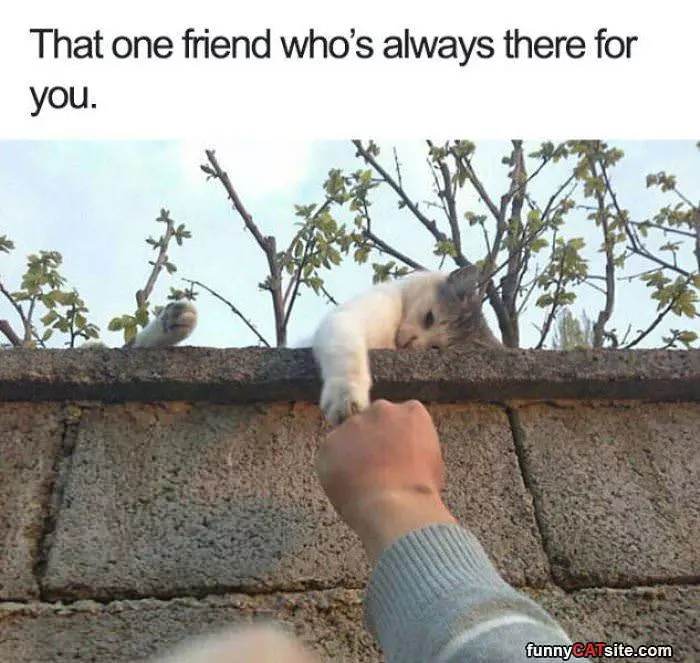 Always There For You