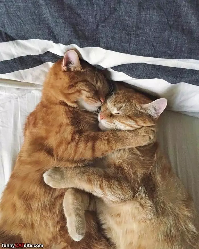 We Keep Each Other Warm