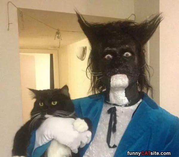 Dressed As His Cat