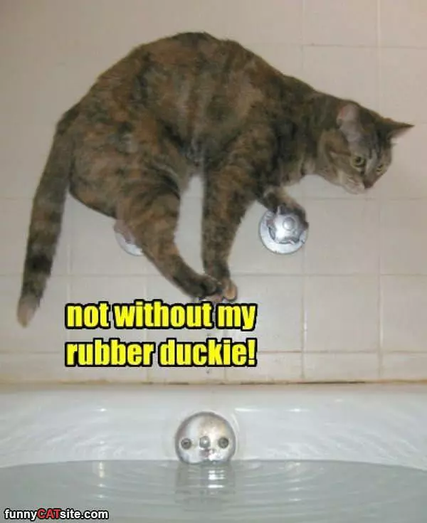 No Rubber Duckie