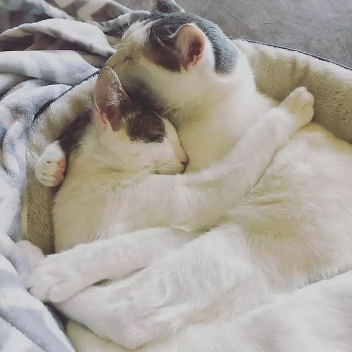 Hugging With Mom