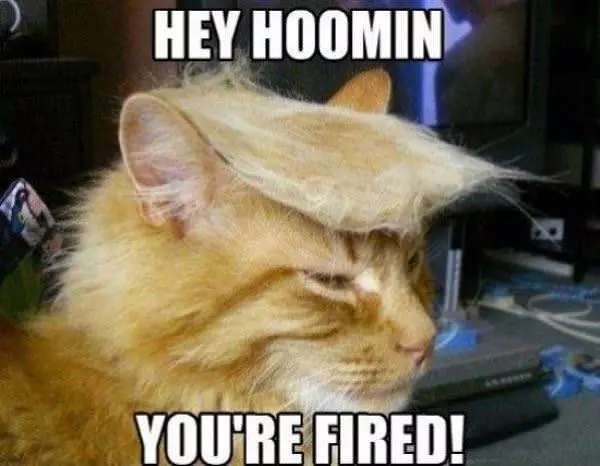 You Fired