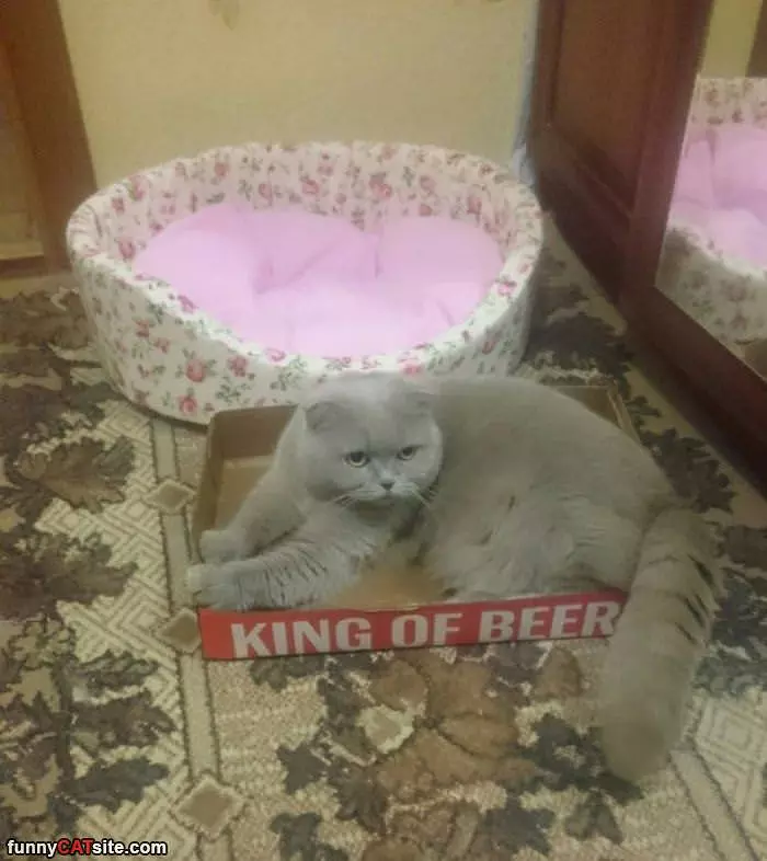 King Of Beer Box