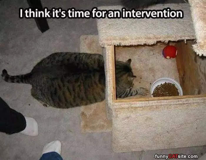 Time For An Intervention