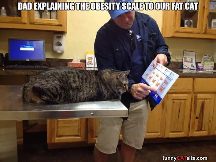 You Are Getting Too Fat
