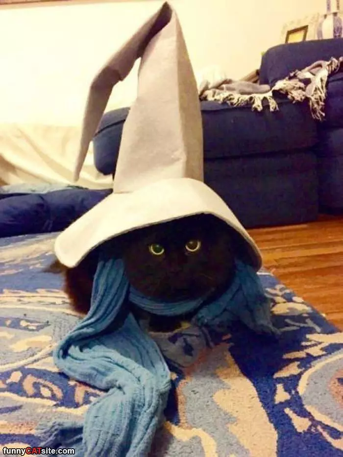 Im A Wizard